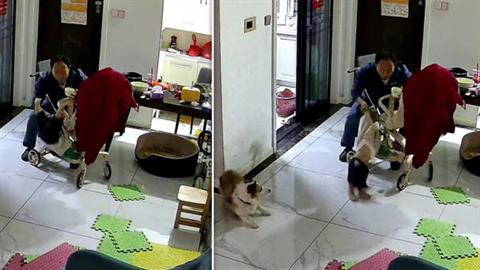 Μπαμπάς έσωσε το μωρό του στο… παραπέντε: «έπεσε από το καρότσι ενώ το τάιζα!»